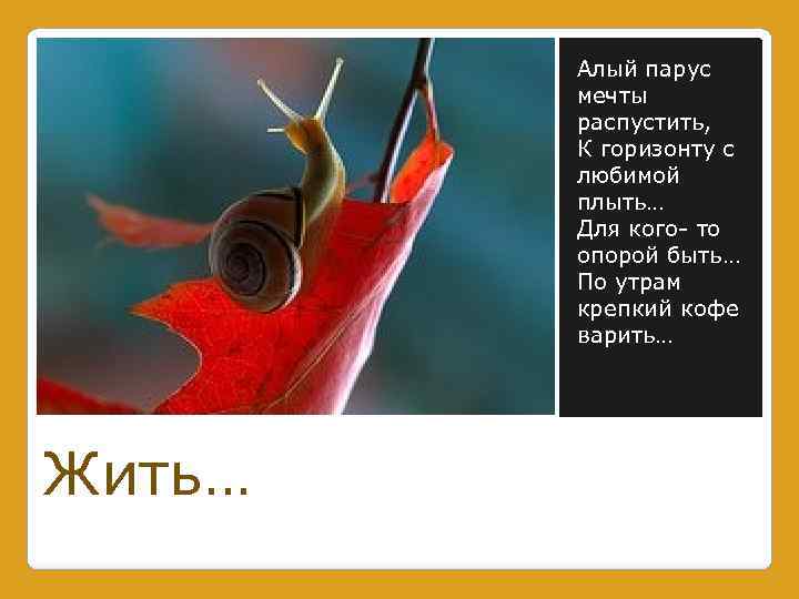Алый парус мечты распустить, К горизонту с любимой плыть… Для кого- то опорой быть…