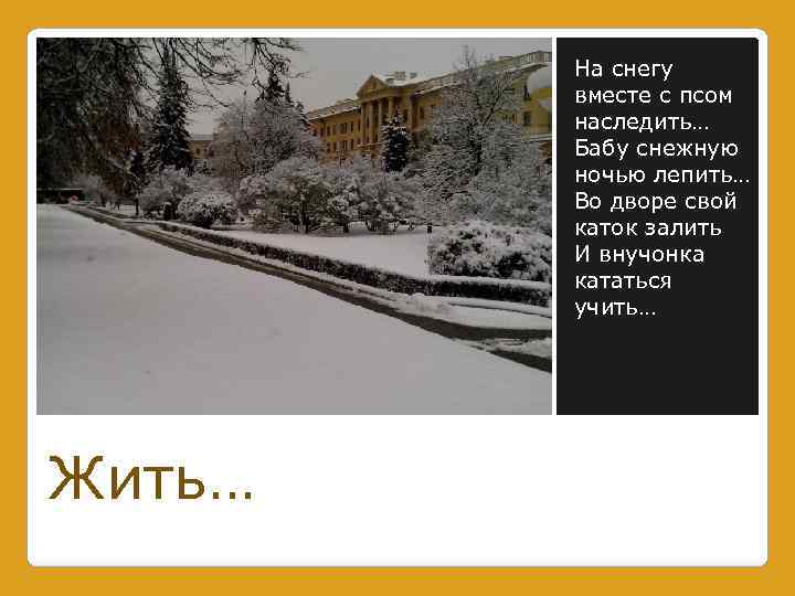 На снегу вместе с псом наследить… Бабу снежную ночью лепить… Во дворе свой каток