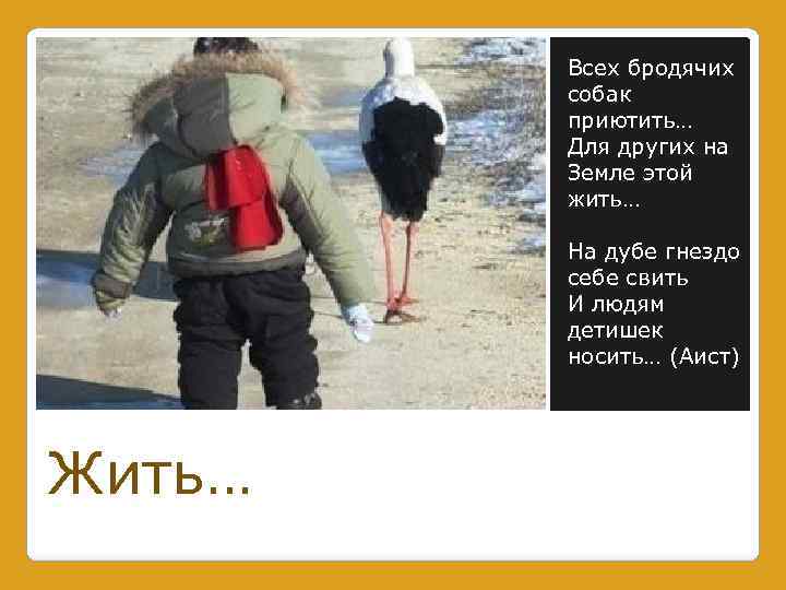Всех бродячих собак приютить… Для других на Земле этой жить… На дубе гнездо себе