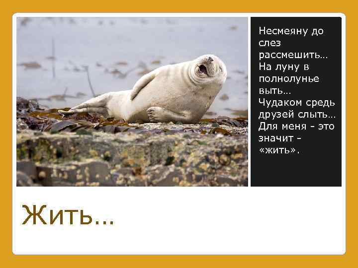 Несмеяну до слез рассмешить… На луну в полнолунье выть… Чудаком средь друзей слыть… Для