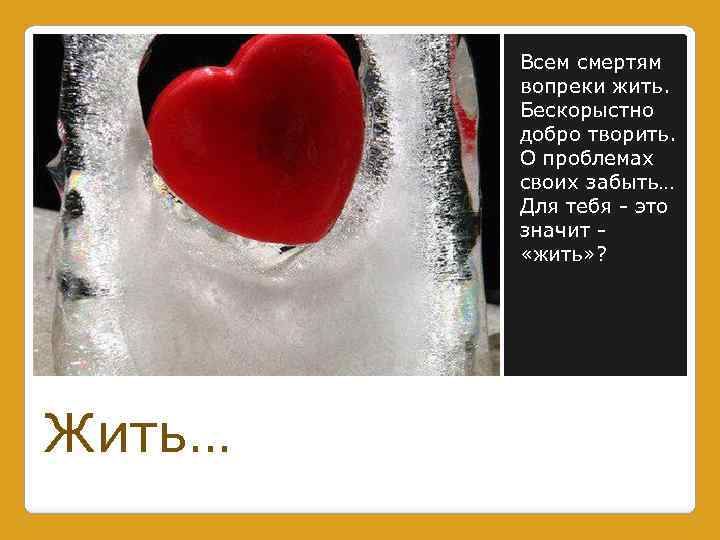 Всем смертям вопреки жить. Бескорыстно добро творить. О проблемах своих забыть… Для тебя -