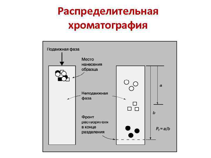 Распределительная хроматография 