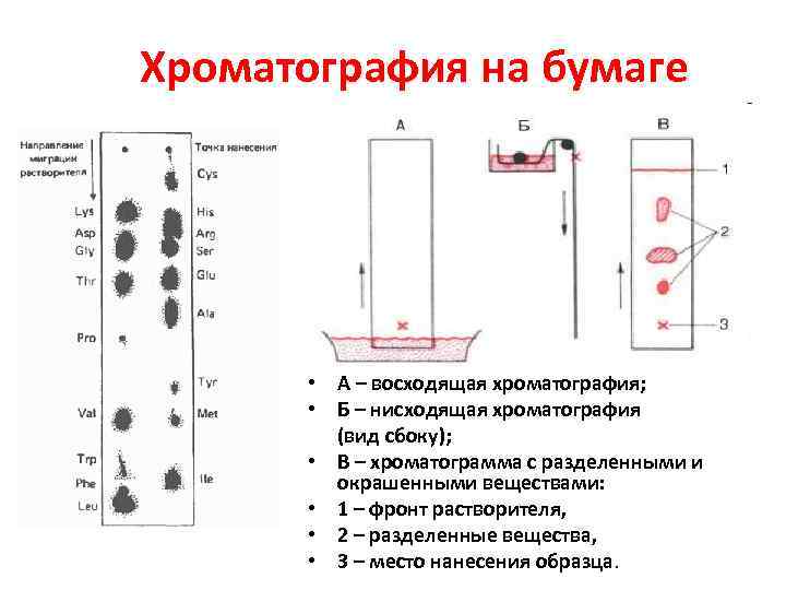 Гель проникающая хроматография презентация