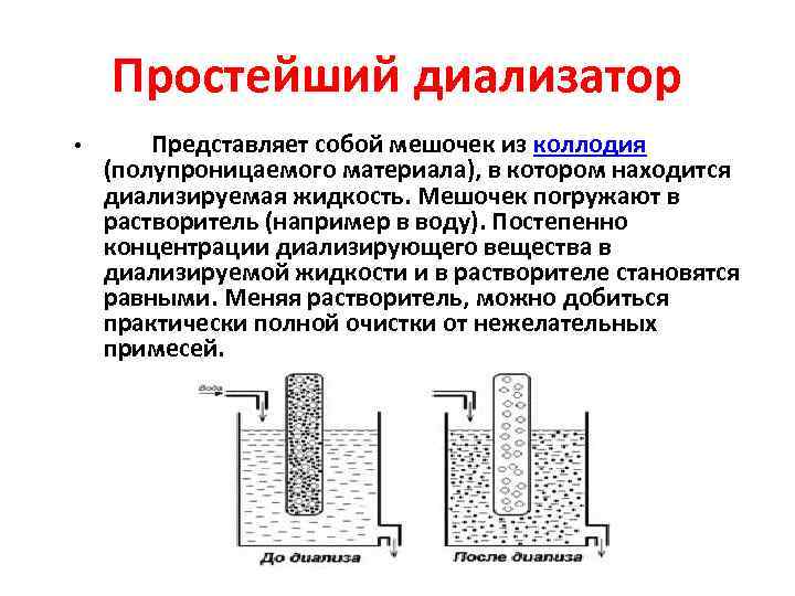 Электрофорез белков презентация