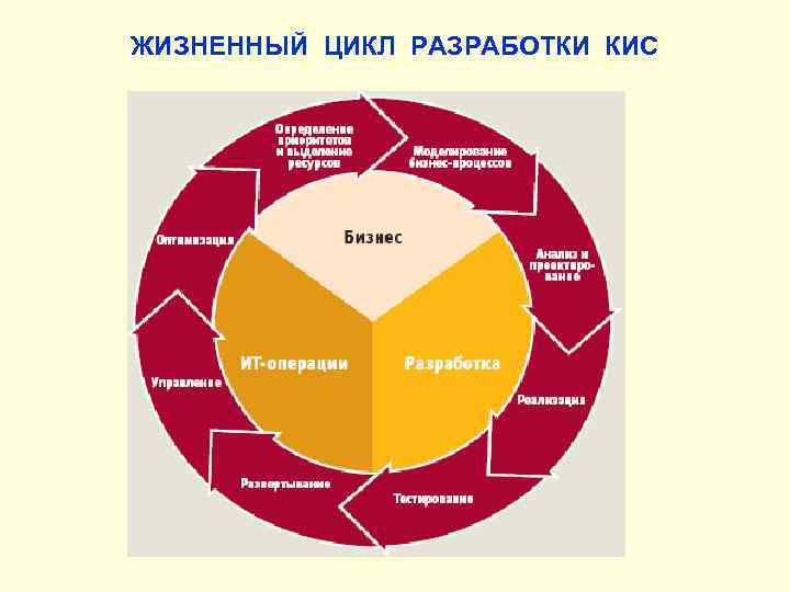 ЖИЗНЕННЫЙ ЦИКЛ РАЗРАБОТКИ КИС 