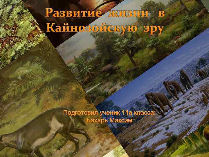 Развитие жизни в Кайнозойскую эру Подготовил ученик 11 а класса: Бахарь Максим 