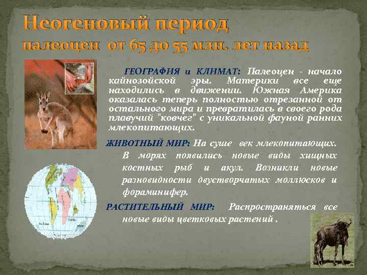 Неогеновый период палеоцен от 65 до 55 млн. лет назад ГЕОГРАФИЯ и КЛИМАТ: Палеоцен