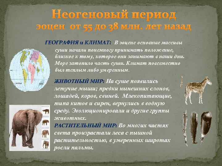 Неогеновый период эоцен от 55 до 38 млн. лет назад ГЕОГРАФИЯ и КЛИМАТ: В