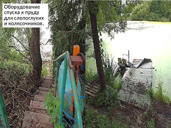 Оборудование спуска к пруду для слепоглухих и колясочников. 