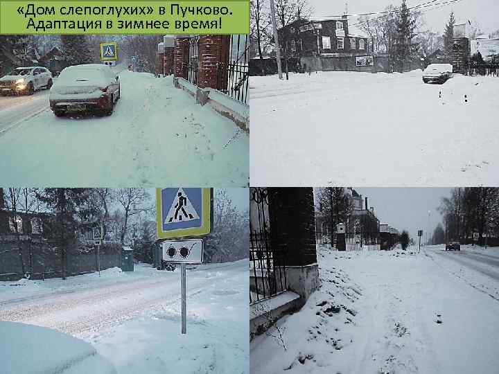  «Дом слепоглухих» в Пучково. Адаптация в зимнее время! 