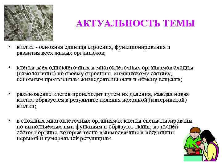 АКТУАЛЬНОСТЬ ТЕМЫ • клетка - основная единица строения, функционирования и развития всех живых организмов;