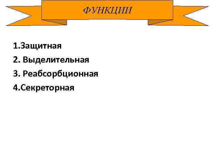 ФУНКЦИИ 1. Защитная 2. Выделительная 3. Реабсорбционная 4. Секреторная 