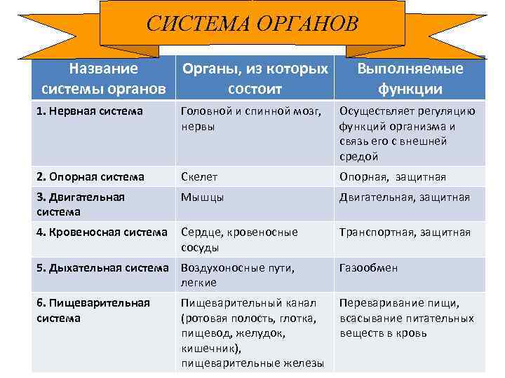 Название системы