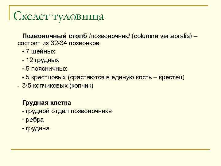Скелет туловища Позвоночный столб /позвоночник/ (columna vertebralis) – состоит из 32 -34 позвонков: -