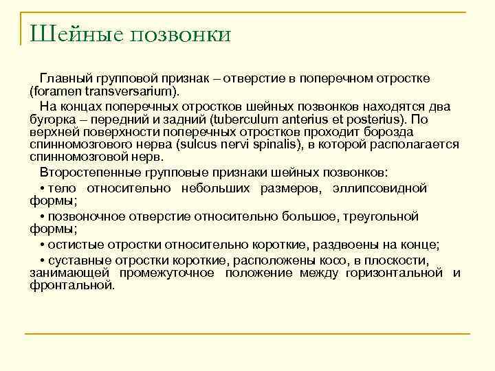 Шейные позвонки Главный групповой признак – отверстие в поперечном отростке (foramen transversarium). На концах