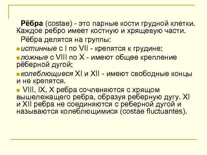 Рёбра (costae) - это парные кости грудной клетки. Каждое ребро имеет костную и хрящевую