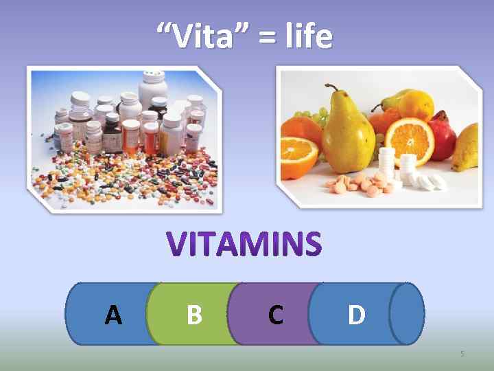 “Vita” = life А В С D 5 
