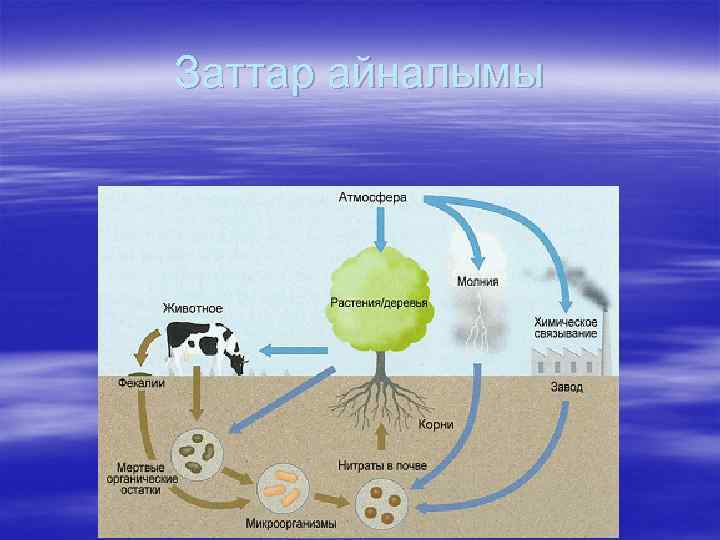 Заттар айналымы 