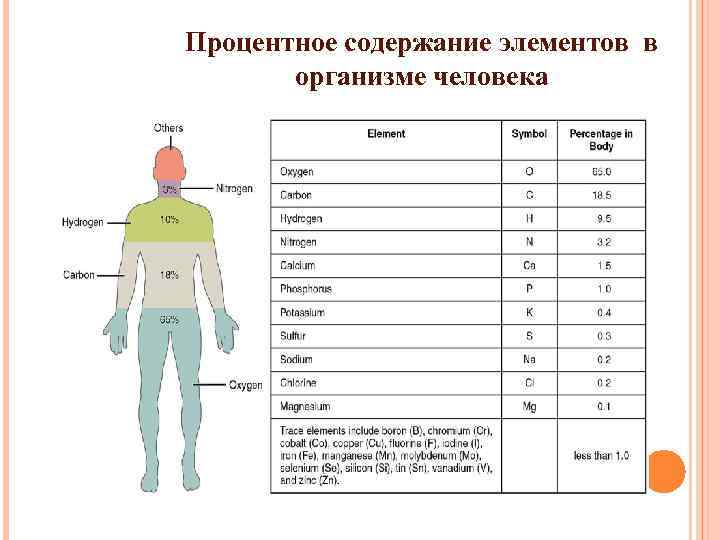 Процентное содержание элементов в организме человека 