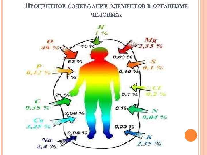 Элементы организма. Химические реакции в организме человека. Процентное содержание элементов в организме человека. Химические вещества в организме человека.