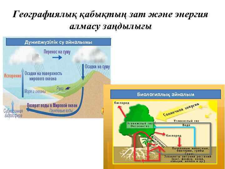 Географиялық қабықтың зат және энергия алмасу заңдылығы Дүниежүзілік су айналымы Биологиялық айналым 