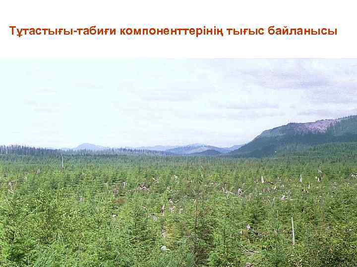 Тұтастығы-табиғи компоненттерінің тығыс байланысы 