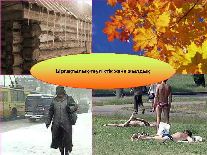 Ырғақтылық-тәуліктік және жылдық 