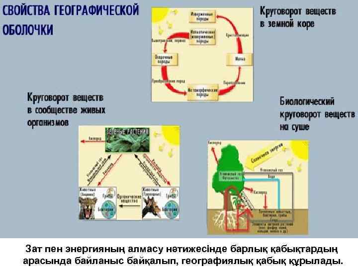 Зат пен энергияның алмасу нәтижесінде барлық қабықтардың арасында байланыс байқалып, географиялық қабық құрылады. 