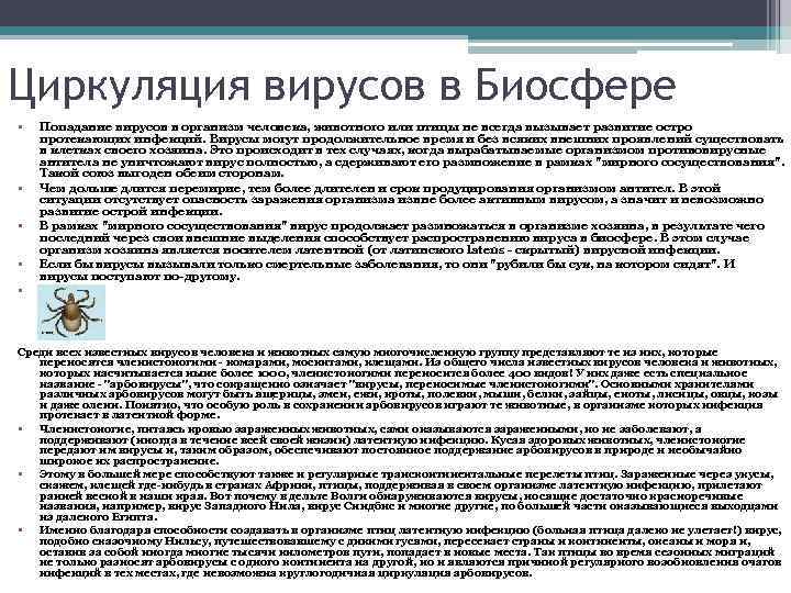 Циркуляция вирусов в Биосфере • • Попадание вирусов в организм человека, животного или птицы