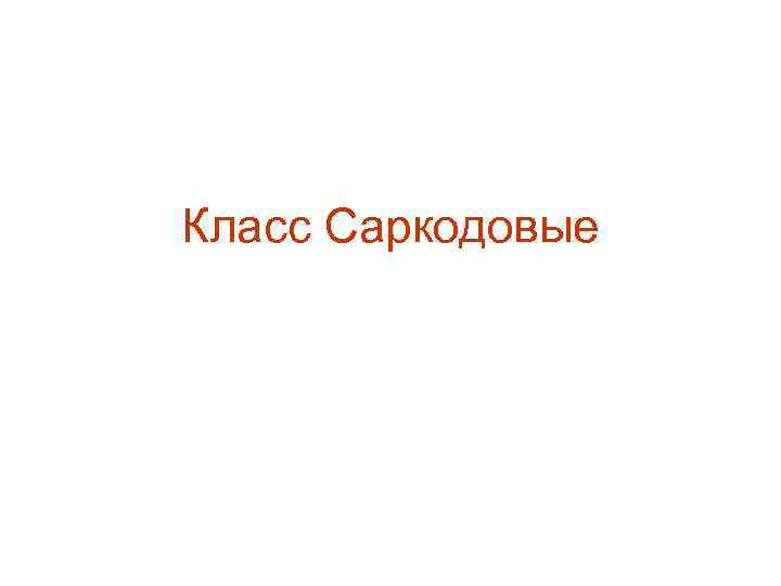 Класс Саркодовые 