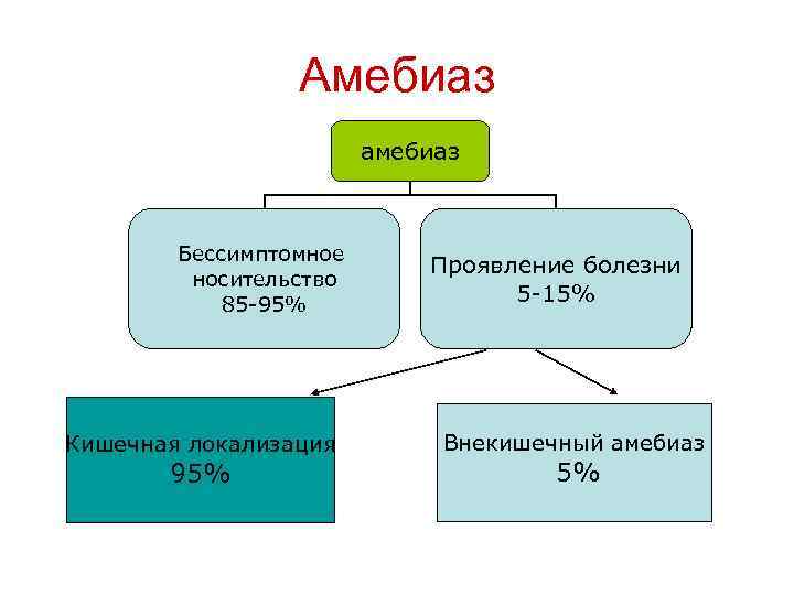 Амебиаз амебиаз Бессимптомное носительство 85 -95% Кишечная локализация 95% Проявление болезни 5 -15% Внекишечный