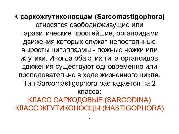 К саркожгутиконосцам (Sarcomastigophora) относятся свободноживущие или паразитические простейшие, органоидами движения которых служат непостоянные выросты