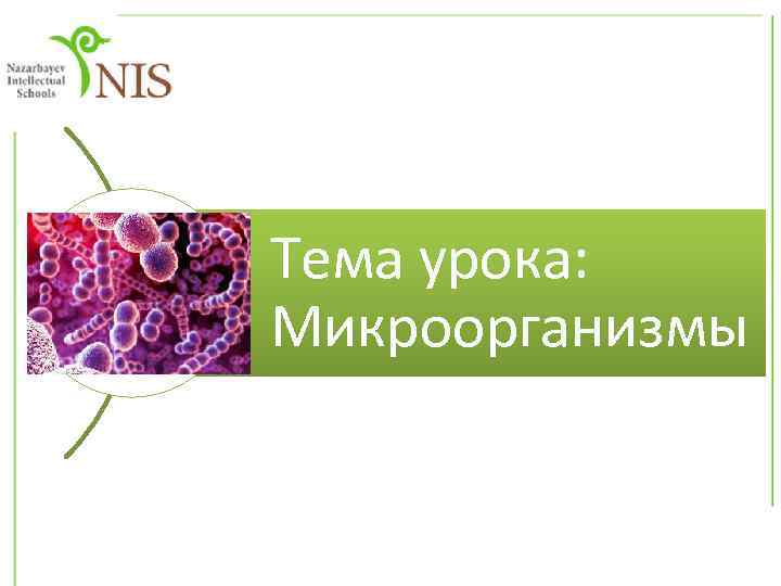 Тема урока: Микроорганизмы 