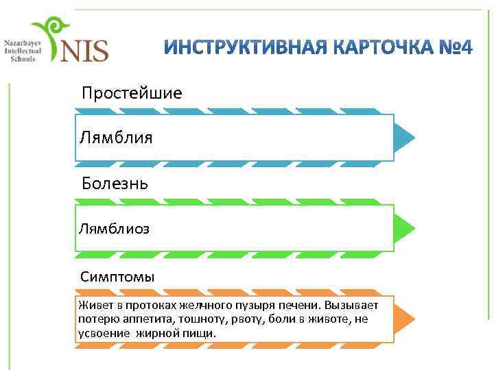 Простейшие Лямблия Болезнь Лямблиоз Симптомы Живет в протоках желчного пузыря печени. Вызывает потерю аппетита,