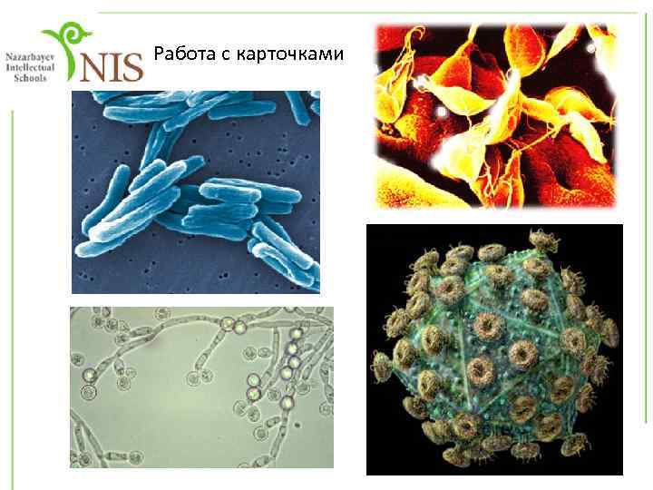 Работа с карточками 