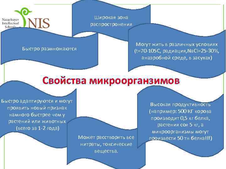 Широкая зона распростронения Быстро размножаются Могут жить в различных условиях (t=70 -105 С, радиация,