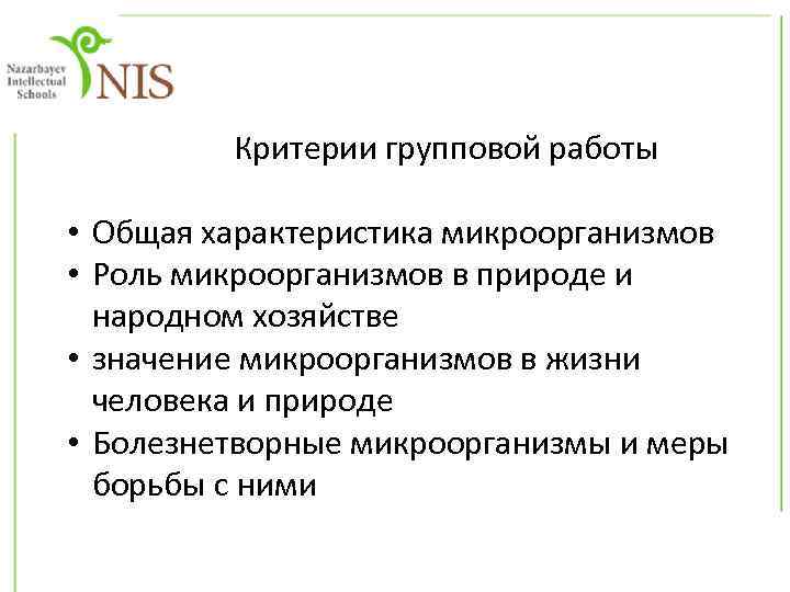  Критерии групповой работы • Общая характеристика микроорганизмов • Роль микроорганизмов в природе и