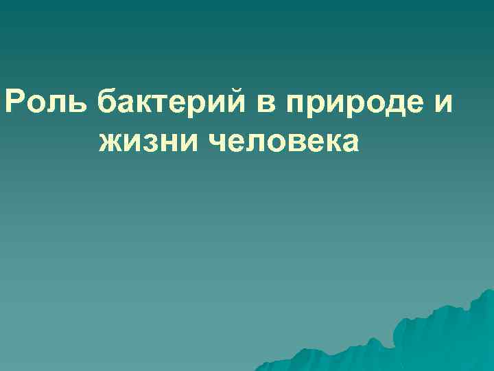 Роль бактерий в природе и жизни человека 