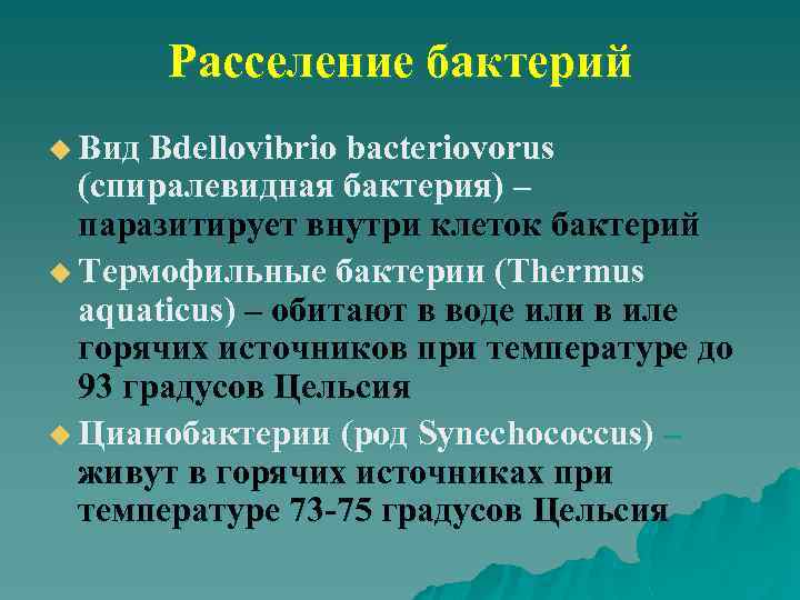Расселение бактерий u Вид Bdellovibrio bacteriovorus (спиралевидная бактерия) – паразитирует внутри клеток бактерий u