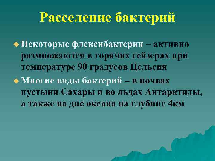 Расселение бактерий u Некоторые флексибактерии – активно размножаются в горячих гейзерах при температуре 90