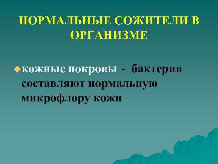 НОРМАЛЬНЫЕ СОЖИТЕЛИ В ОРГАНИЗМЕ uкожные покровы - бактерии составляют нормальную микрофлору кожи 