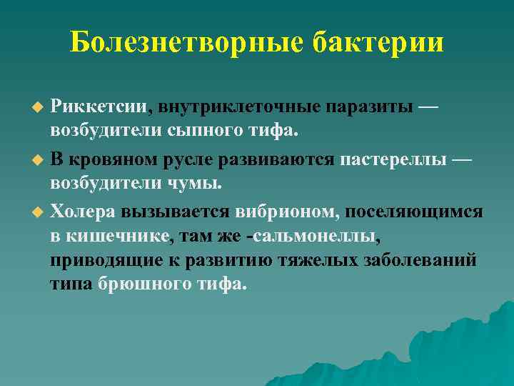 Болезнетворные бактерии Риккетсии, внутриклеточные паразиты — возбудители сыпного тифа. u В кровяном русле развиваются