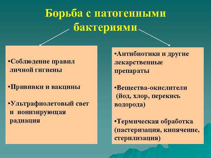 Борьба с патогенными бактериями • Соблюдение правил личной гигиены • Прививки и вакцины •