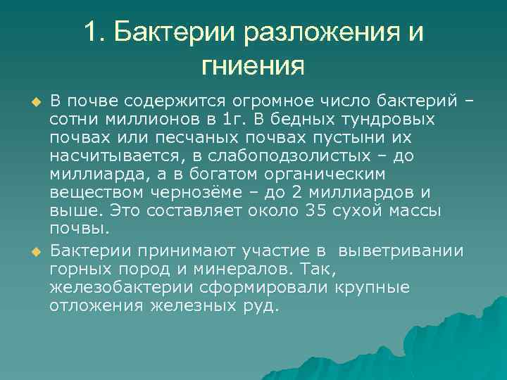 1. Бактерии разложения и гниения u u В почве содержится огромное число бактерий –