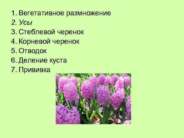 1. Вегетативное размножение 2. Усы 3. Стеблевой черенок 4. Корневой черенок 5. Отводок 6.