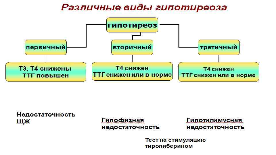 Rusderm. Ru 