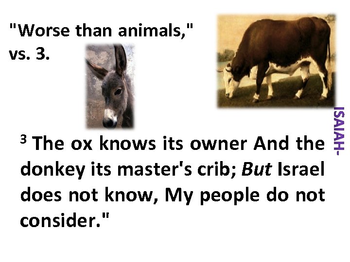 "Worse than animals, " vs. 3. 3 The ox knows its owner And the