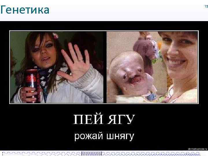 Генетика 15 
