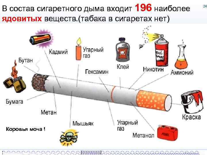 В состав сигаретного дыма входит 196 наиболее ядовитых веществ. (табака в сигаретах нет) Коровья