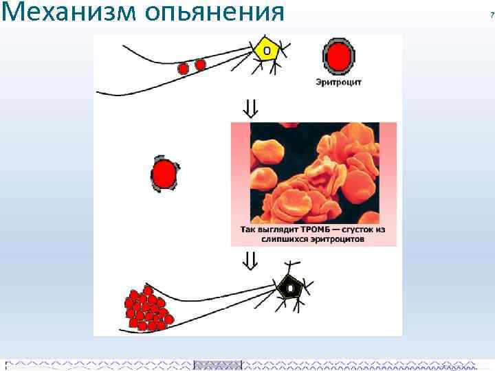 Механизм опьянения 7 